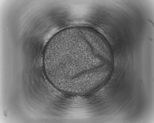 X0000101421459200807280927