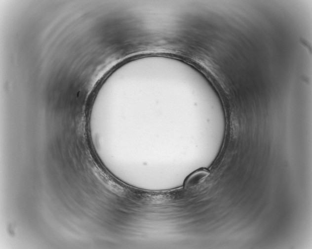 X0000101421460200807280927