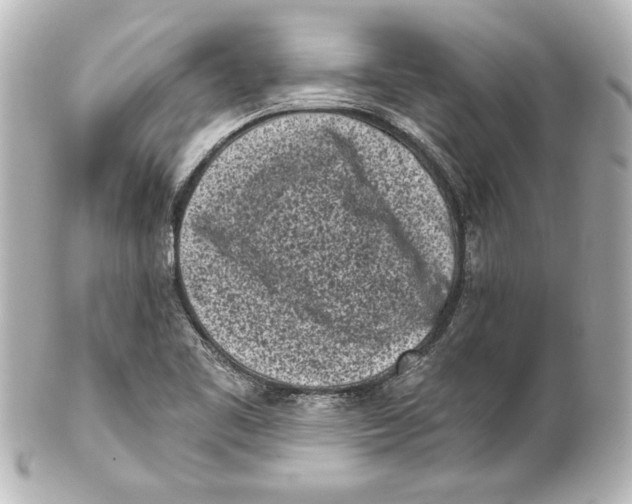 X0000101421461200807280927