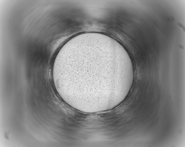 X0000101421462200807280927