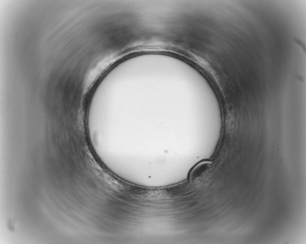 X0000101421464200807280927
