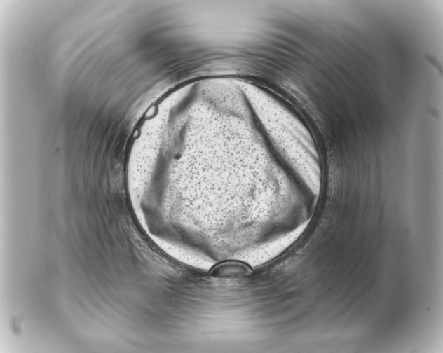 X0000101421465200807280927