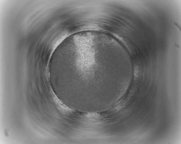 X0000101421466200807280927