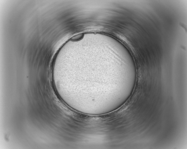 X0000101421467200807280927