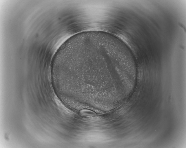 X0000101421468200807280927