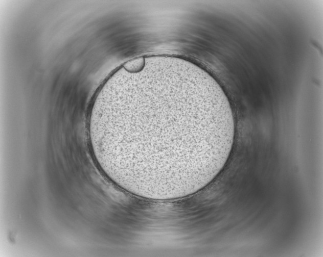 X0000101421470200807280927