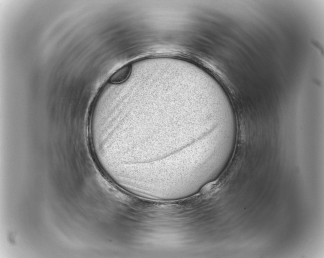 X0000101421471200807280927