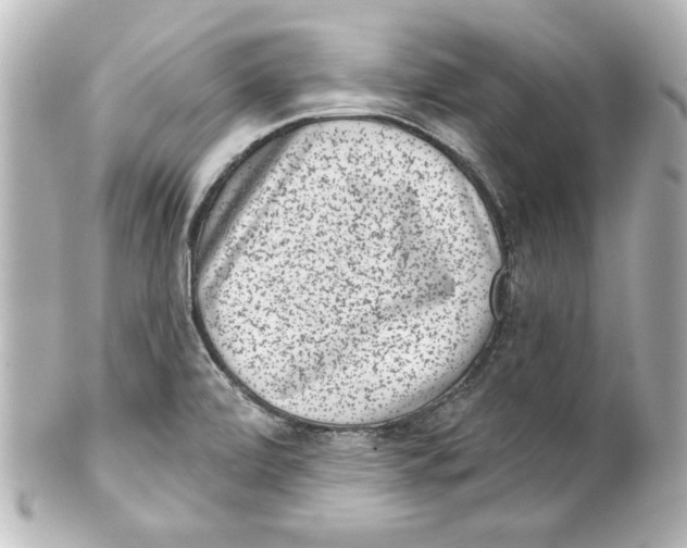 X0000101421472200807280927