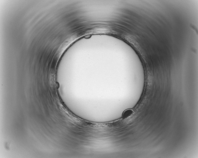 X0000101421473200807280927