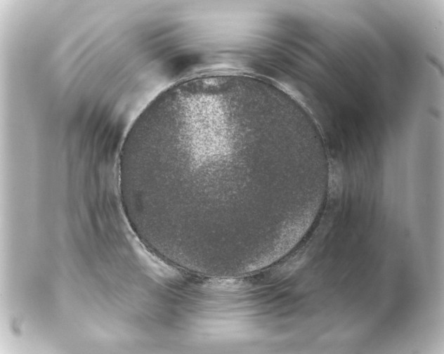 X0000101421474200807280927
