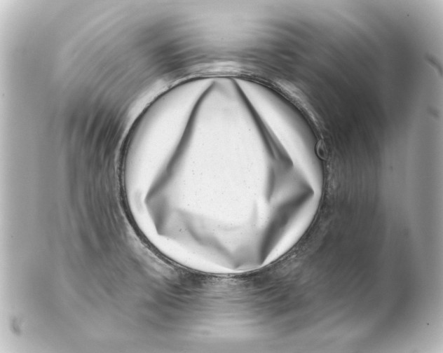 X0000101421475200807280927
