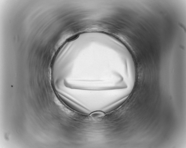 X0000101421476200807280926