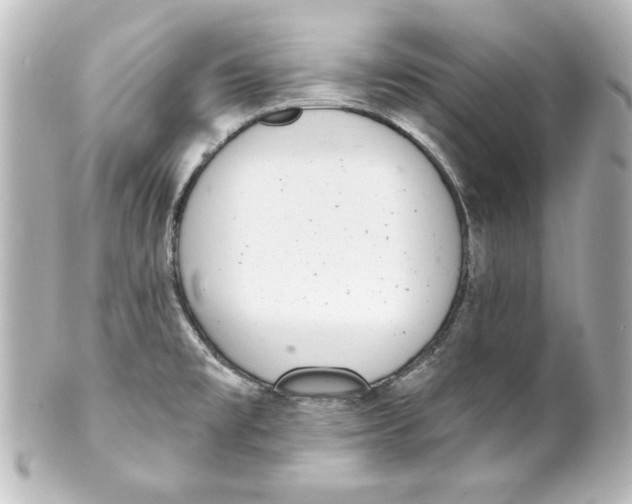 X0000101421477200807280926