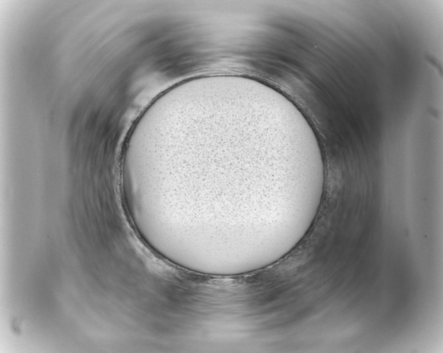 X0000101421478200807280926