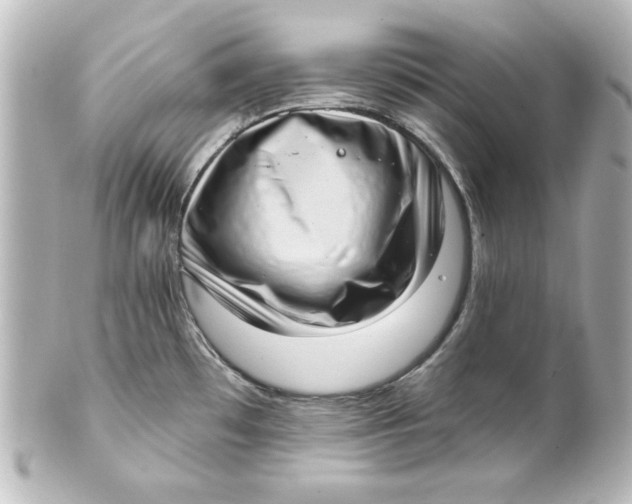 X0000101421481200807280926