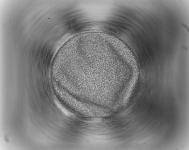 X0000101421482200807280926