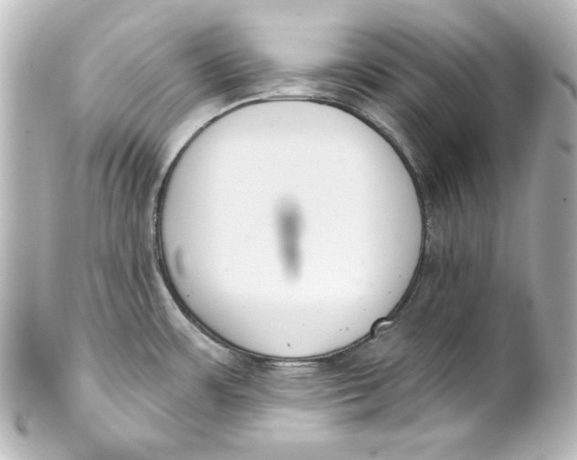 X0000101421483200807280926