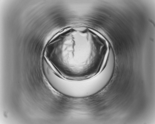 X0000101421485200807280926
