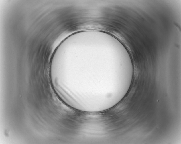 X0000101421486200807280926