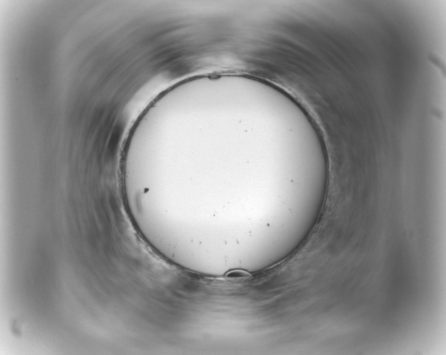 X0000101421488200807280926