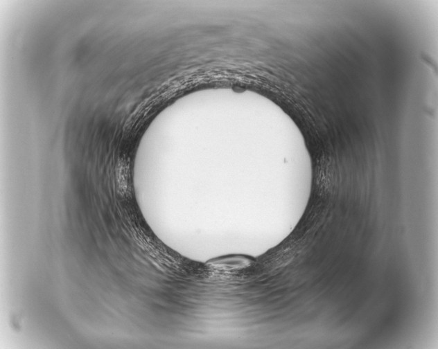 X0000101421490200807280926