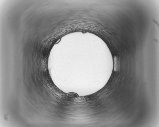 X0000101421491200807280926