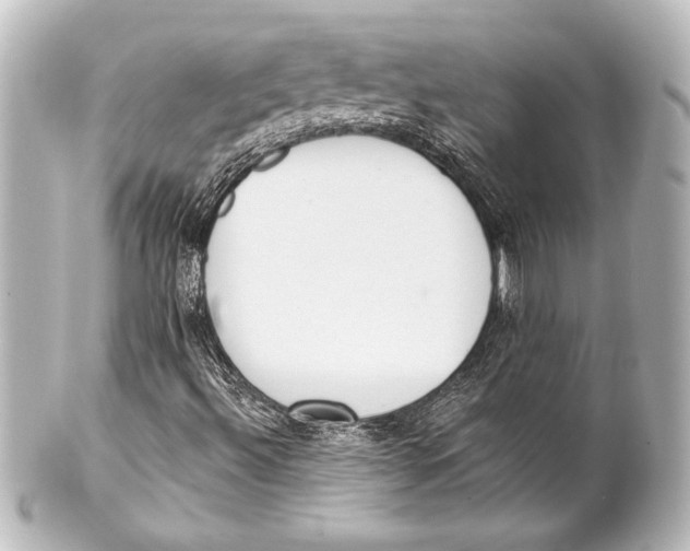 X0000101421492200807280926
