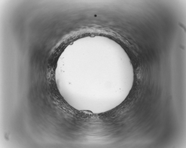 X0000101421495200807280926