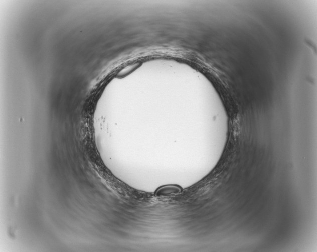 X0000101421496200807280926