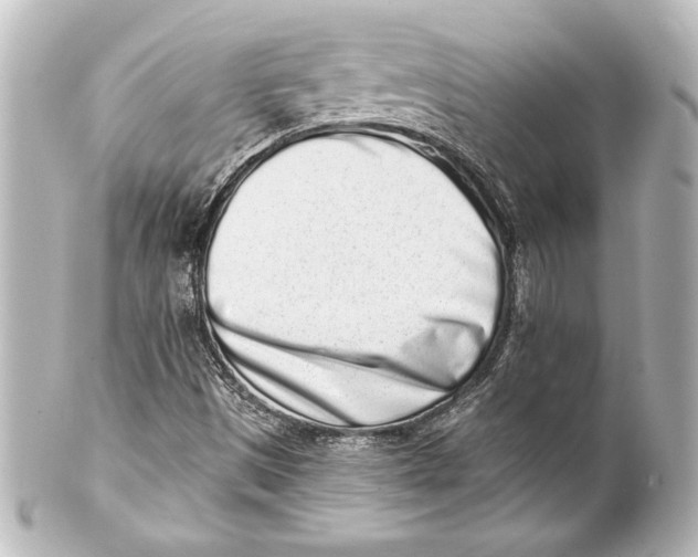 X0000101421497200807280926