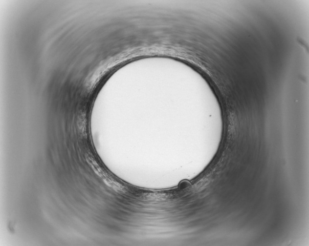 X0000101421499200807280926