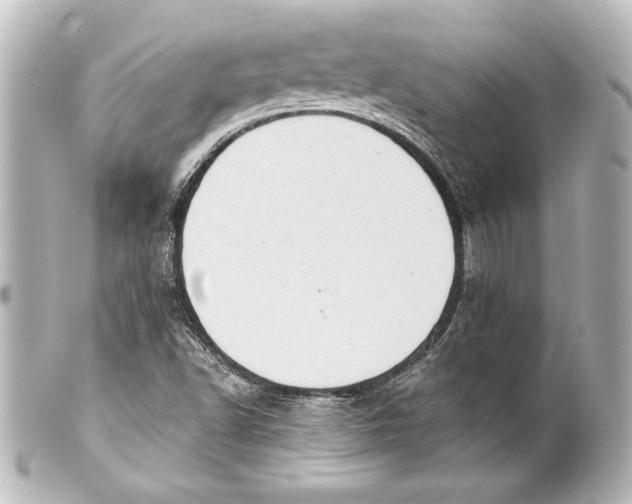X0000101421502200807280926