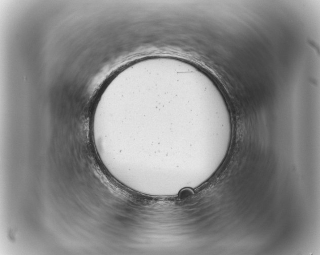 X0000101421503200807280926