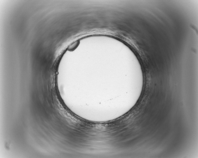 X0000101421504200807280926