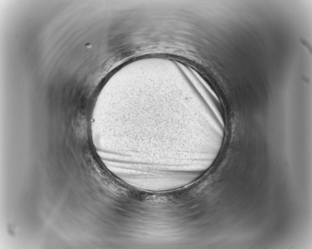 X0000101421505200807280926