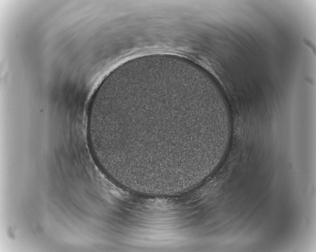 X0000101421508200807280926