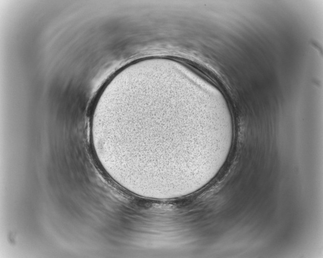 X0000101421509200807280926