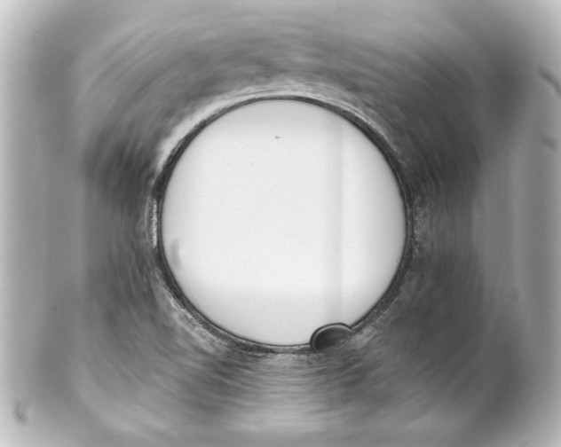 X0000101421510200807280926