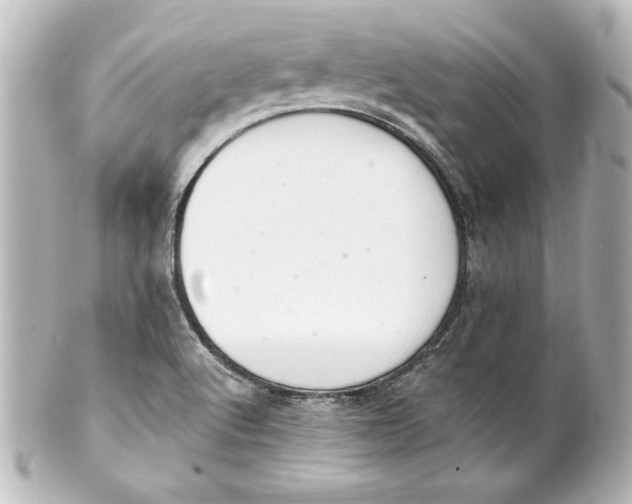 X0000101421512200807280926