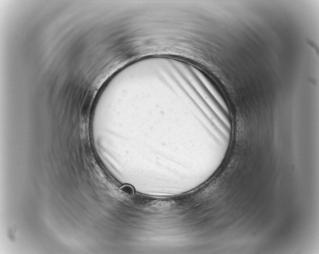 X0000101421513200807280926