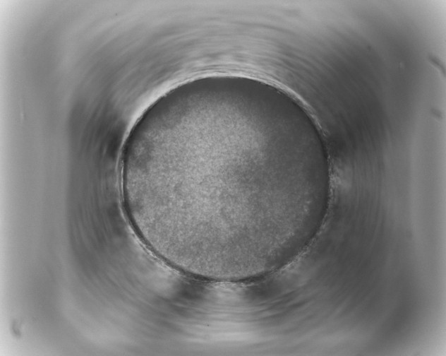 X0000101421514200807280926