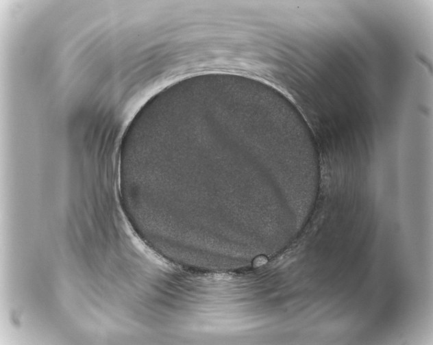 X0000101421515200807280926