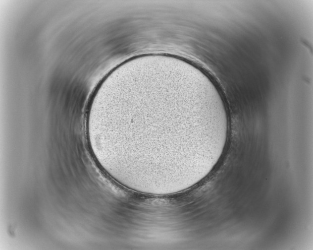 X0000101421517200807280926