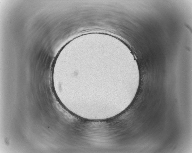 X0000101421518200807280926