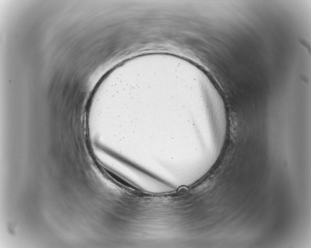 X0000101421519200807280926