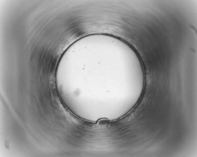 X0000101421521200807280926