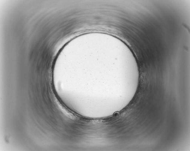X0000101421523200807280926