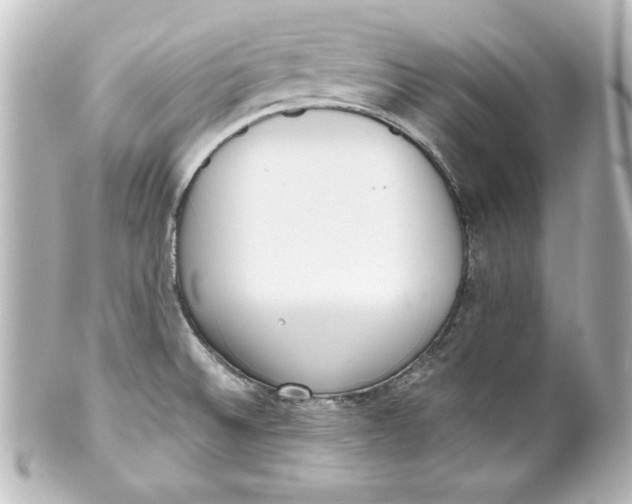 X0000101421524200807280926