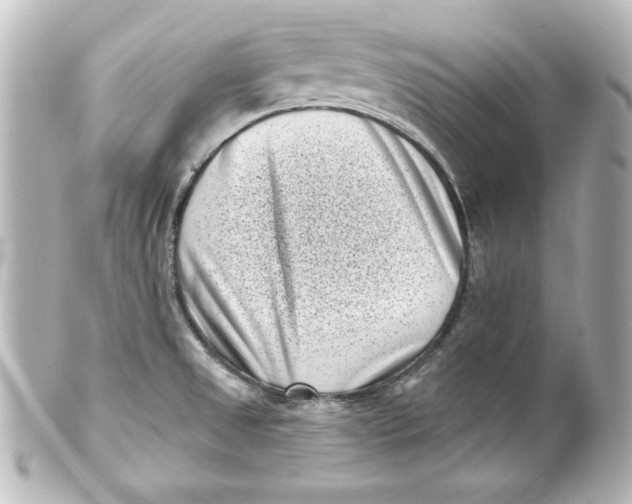 X0000101421525200807280926