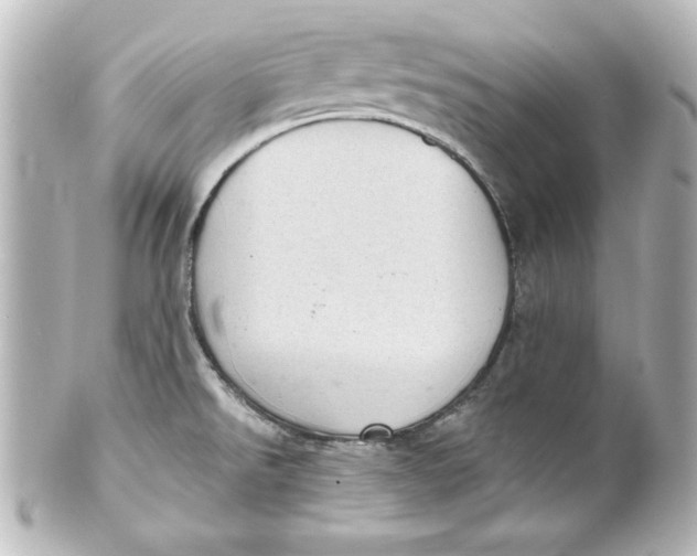 X0000101421526200807280926